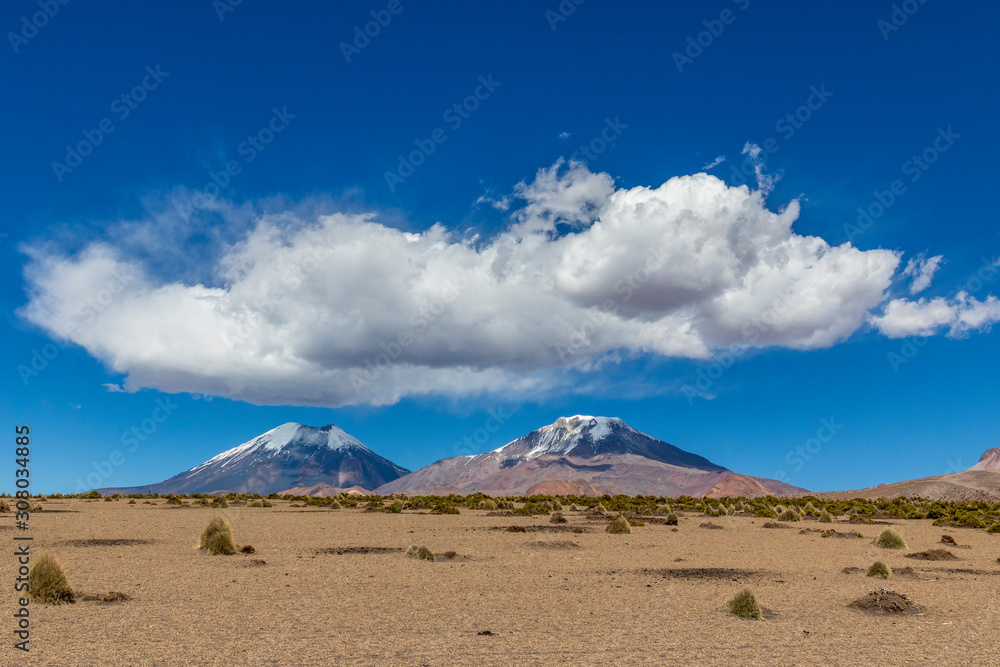 Volcanoes near the Sajama national park in Bolivia.