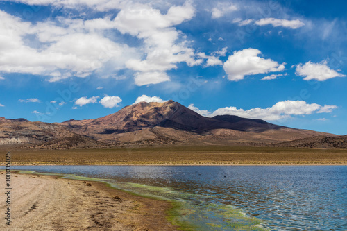 Mountain and laguna at Sajama national park in Bolivia