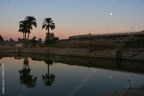 reflection of palm trees and ancient buildings in water