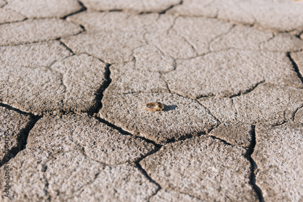 Fototapeta premium Wedding rings on a background of cracked earth