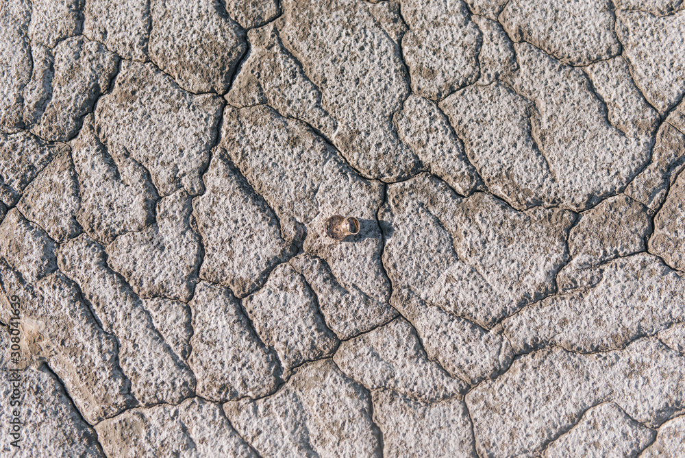 Fototapeta premium Wedding rings on a background of cracked earth