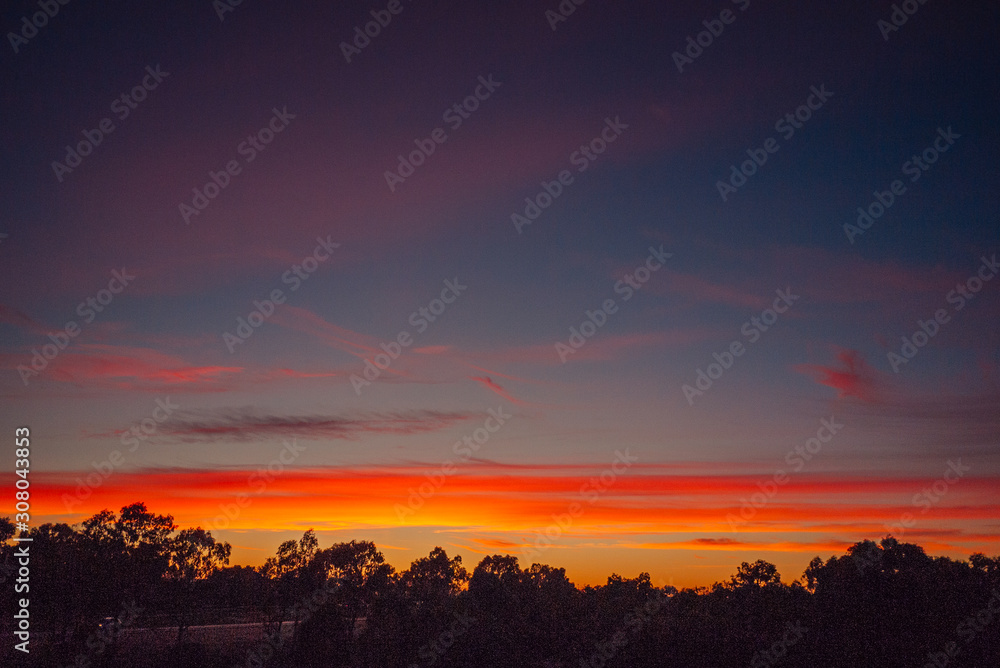 Some clouds glow in the dawn sky over the forest Some clouds glow in the dawn sky over the forest