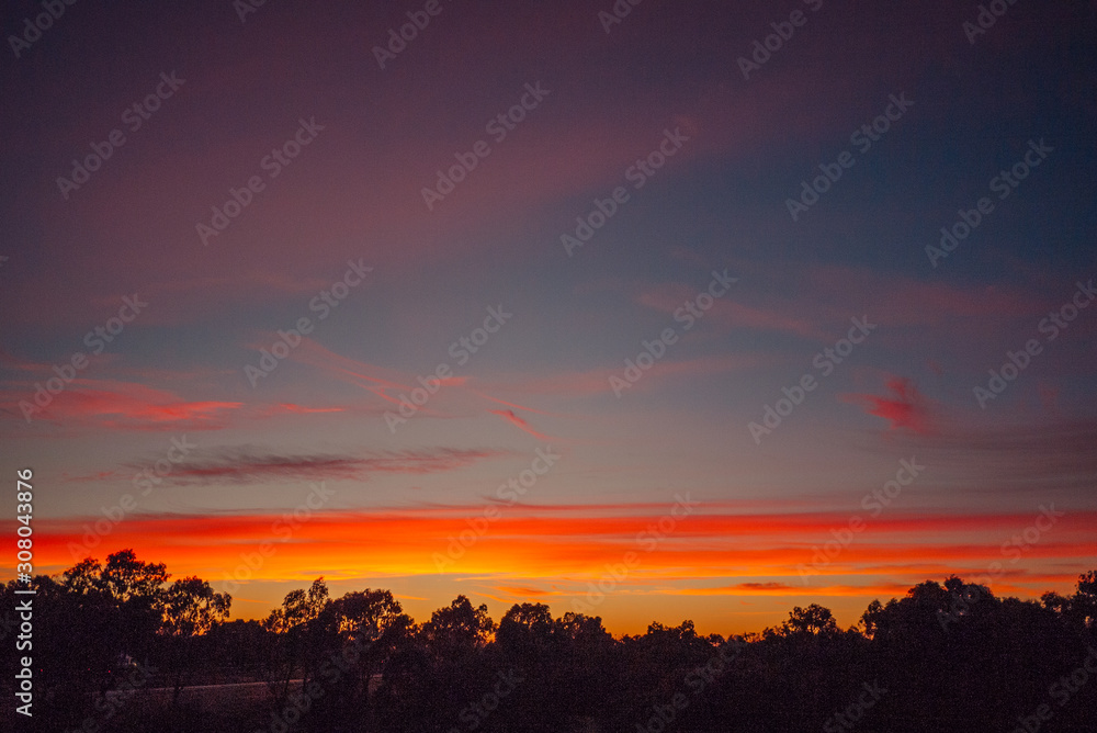 Some clouds glow in the dawn sky over the forest Some clouds glow in the dawn sky over the forest