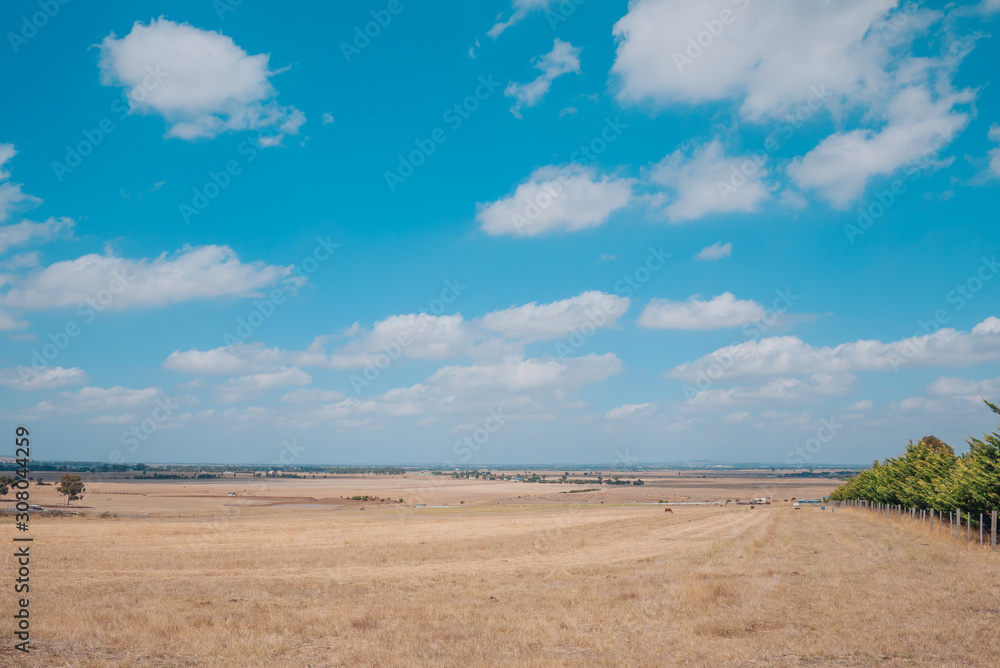 Cloudy sky with dry grassland and pasture.
