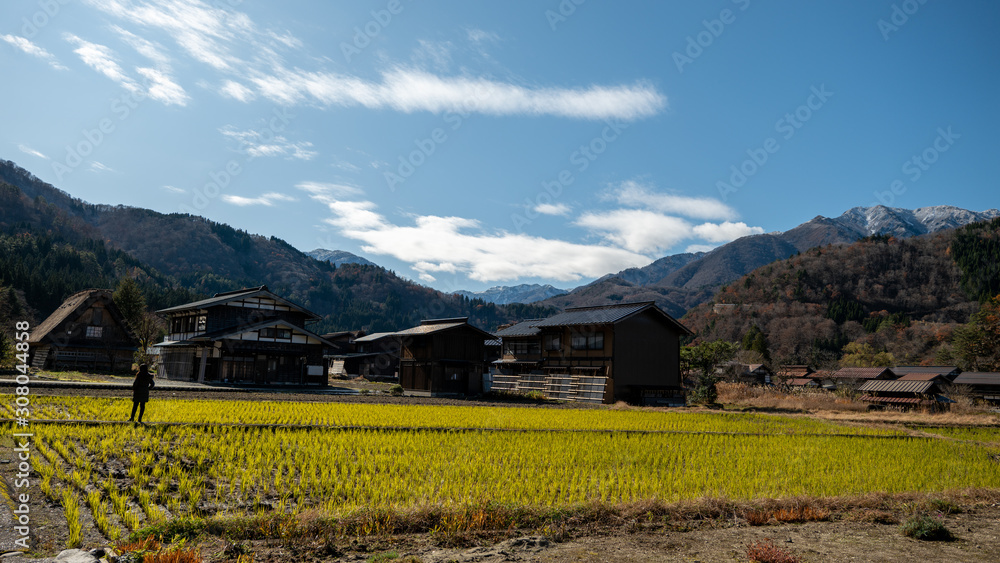 Obraz premium Traditional and historical Japanese village Shirakawago in summer