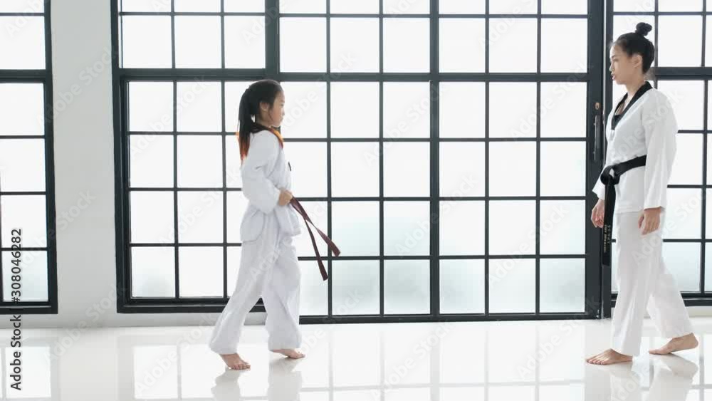 Young teacher of taekwondo and her student is acting of basic posture with white background and pattern. The text on belt and student mean taekwondo. Young teacher of taekwondo and her student is acting of basic posture with white background and pattern. The text on belt and student mean taekwondo.