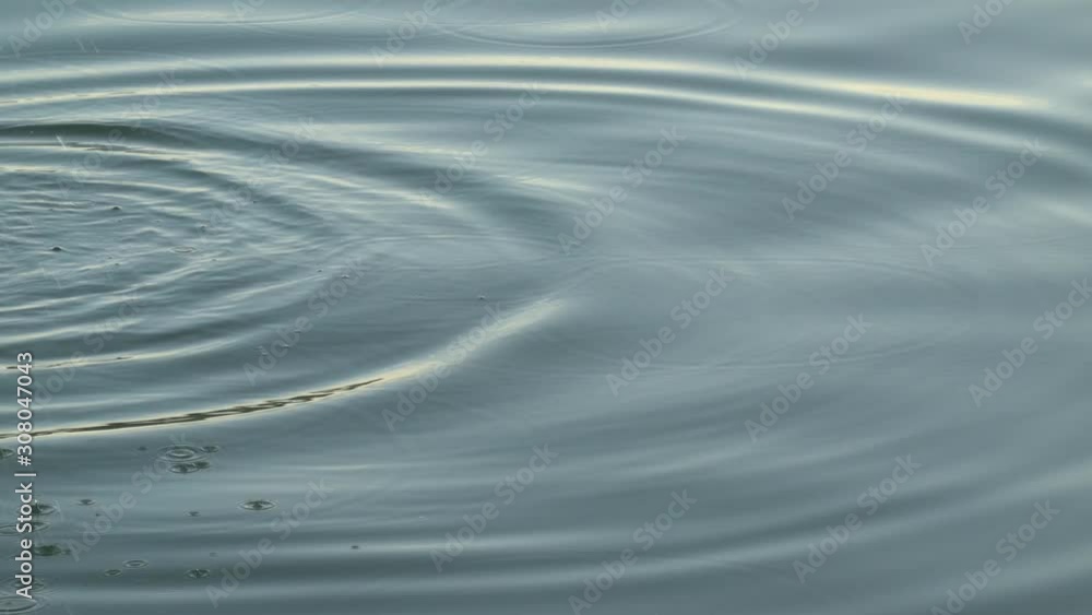 water pool background in the evening scene water pool background in the evening scene