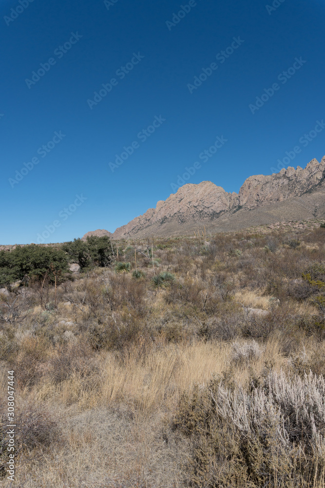 Southern edge of the Organ Mountains.