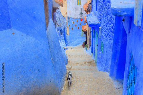 Chefchaouen, a town of blue painted houses. A city with narrow, beautiful, blue streets.