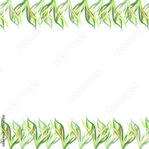 Fototapeta Naklejka Na Ścianę i Meble -  frame of grass