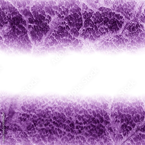 purple background