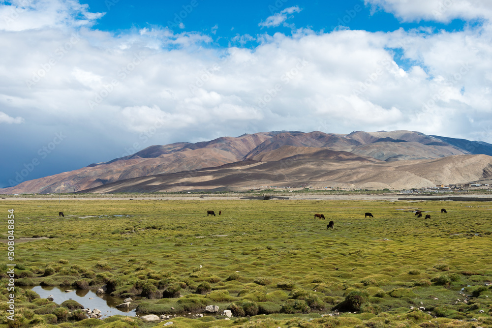 Ladakh, India - Jul 14 2019 - Beautiful scenic view from Between Chushul and Pangong Tso in Ladakh, Jammu and Kashmir, India. Ladakh, India - Jul 14 2019 - Beautiful scenic view from Between Chushul and Pangong Tso in Ladakh, Jammu and Kashmir, India.