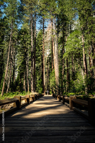 Wooden bridge walkway to Yosemite Waterfall