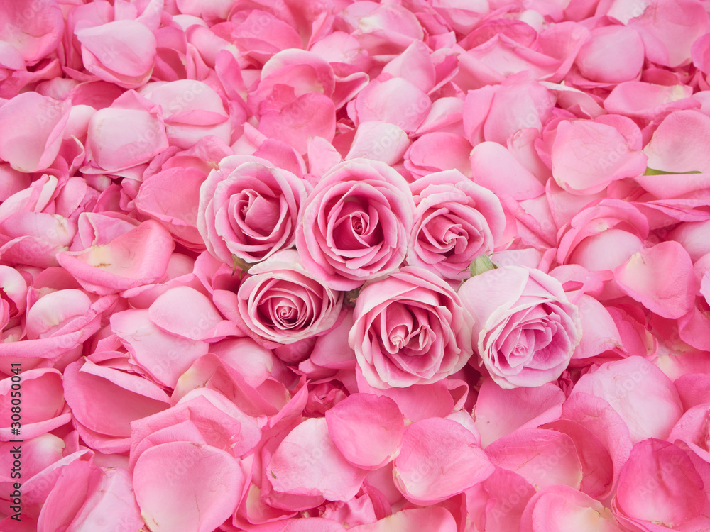 Frame made of pink rose petals Frame made of pink rose petals