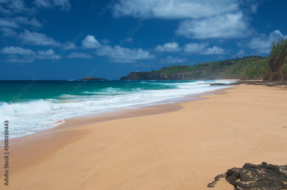 Fototapeta premium Hawaii - Strand