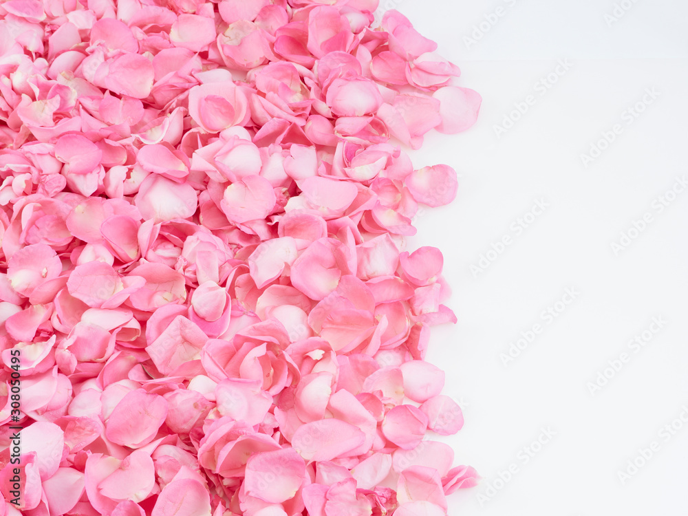 Obraz premium Frame made of pink rose petals