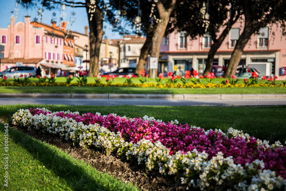 Decorative white and pink flowers in a row with roundabout in the background Caorle Italy