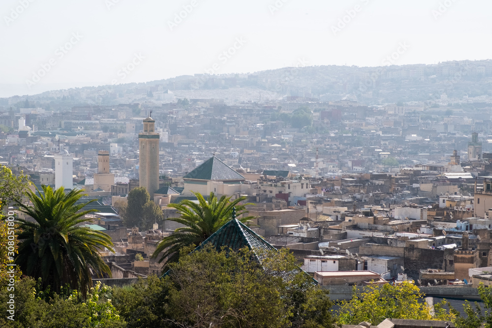 View over Fez medina, Morocco