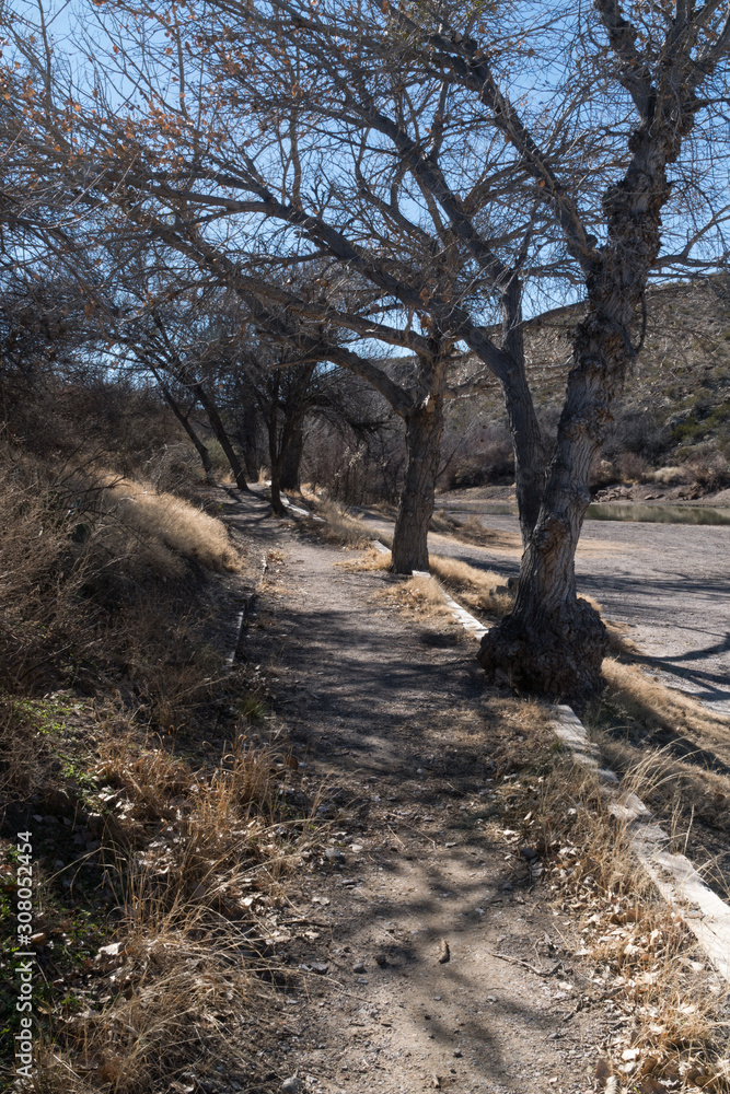 A Rio Grande hiking path along the river in southwest New Mexico. A Rio Grande hiking path along the river in southwest New Mexico.