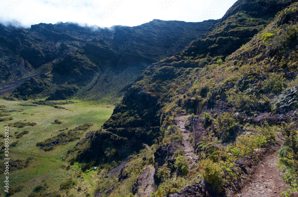 Naklejka premium Maui