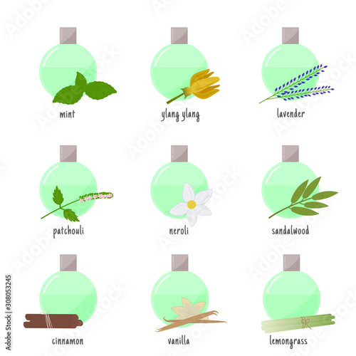 Seth bottles with organic perfume. Natural aromatherapy. Vanilla, neroli, patchouli, ylang ylang, cinnamon, lemongrass, sandalwood, patchouli, mint, lavender. Vector illustration on white background.