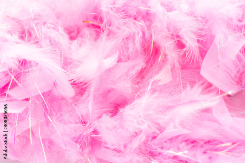 Pink feathers