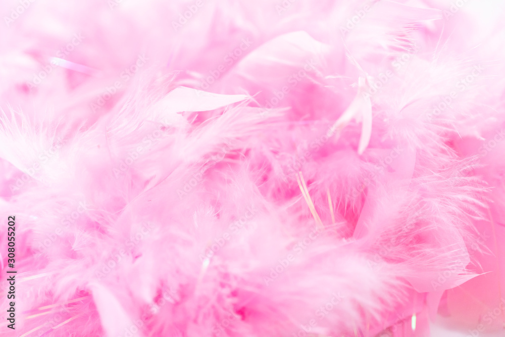 Pink feathers