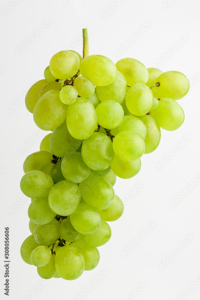 One bunch of ripe organic white grapes isolated on white background, side view, vertical position One bunch of ripe organic white grapes isolated on white background, side view, vertical position
