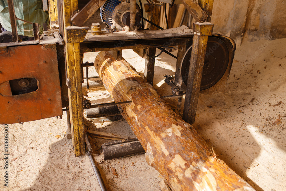 Woodworking machine, nobody, lumber industry