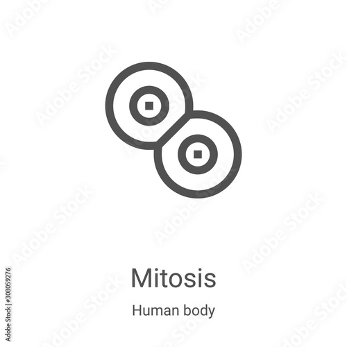 mitosis icon vector from human body collection. Thin line mitosis outline icon vector illustration. Linear symbol for use on web and mobile apps, logo, print media