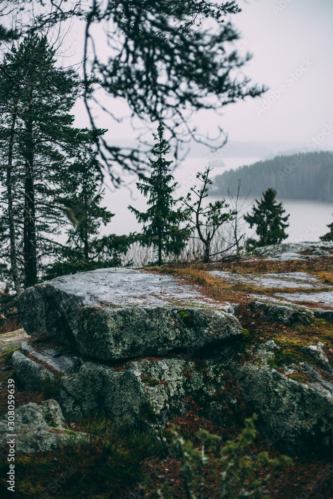 Scenic view with lake rainy morning in Natural park reserve Nummela, Finland Scenic view with lake rainy morning in Natural park reserve Nummela, Finland