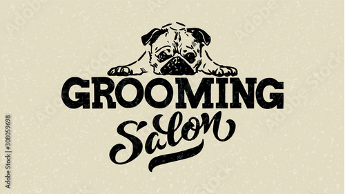 Logo for dog hair salon, dog styling and grooming shop, store for pets. Vector illustration isolated on white background. EPS 10