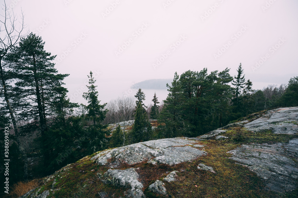 Scenic view with lake rainy morning in Natural park reserve Nummela, Finland