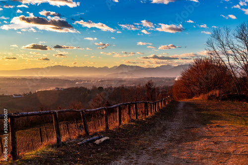 Colorful sunset in the italian vineyards