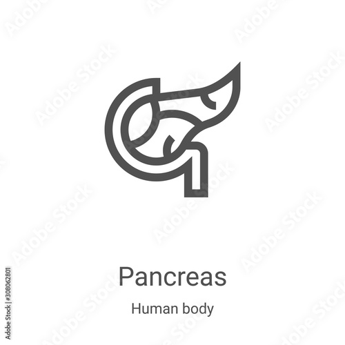 pancreas icon vector from human body collection. Thin line pancreas outline icon vector illustration. Linear symbol for use on web and mobile apps, logo, print media photo