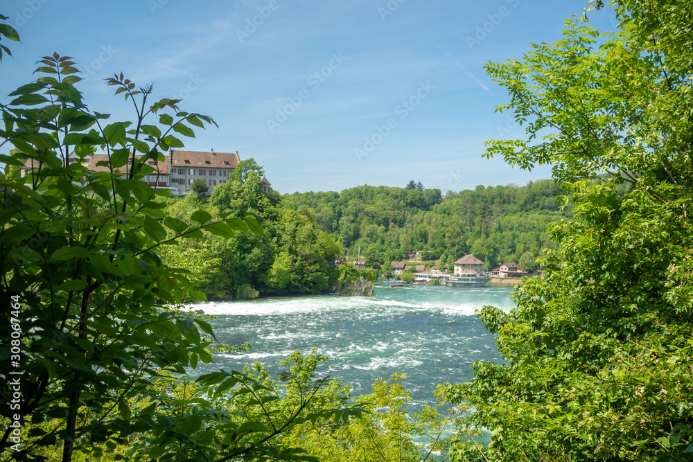 Beautiful view of fresh green tree , flowing river and clear blue sky with copy space Beautiful view of fresh green tree , flowing river and clear blue sky with copy space