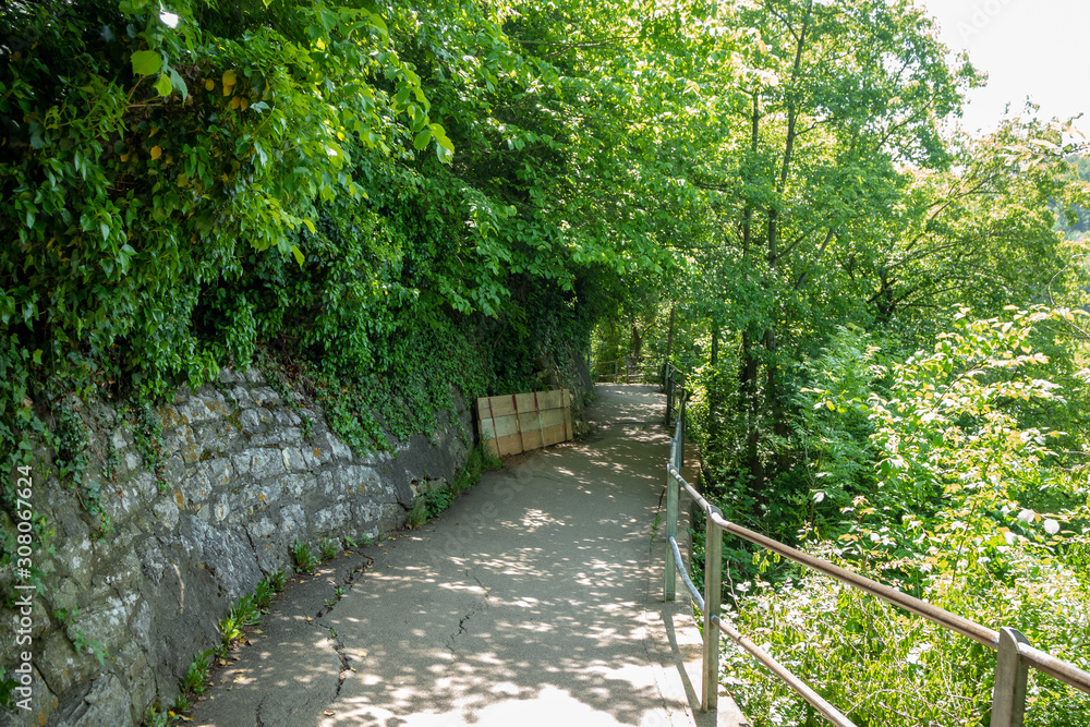 Beautiful scene of walkway among fresh green trees with sunlight for background , copy space Beautiful scene of walkway among fresh green trees with sunlight for background , copy space
