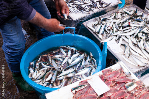 Salesman cleaning the sardines using a big bucket filled of water