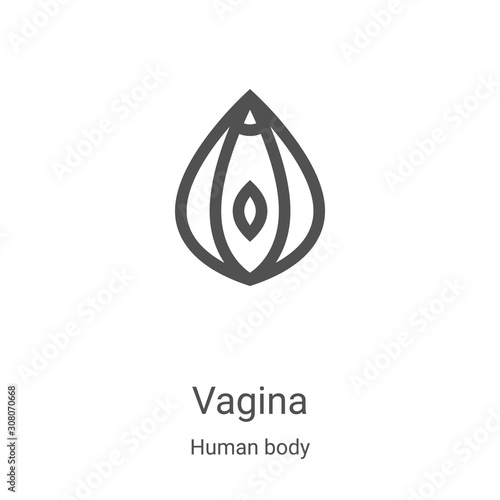 vagina icon vector from human body collection. Thin line vagina outline icon vector illustration. Linear symbol for use on web and mobile apps, logo, print media photo