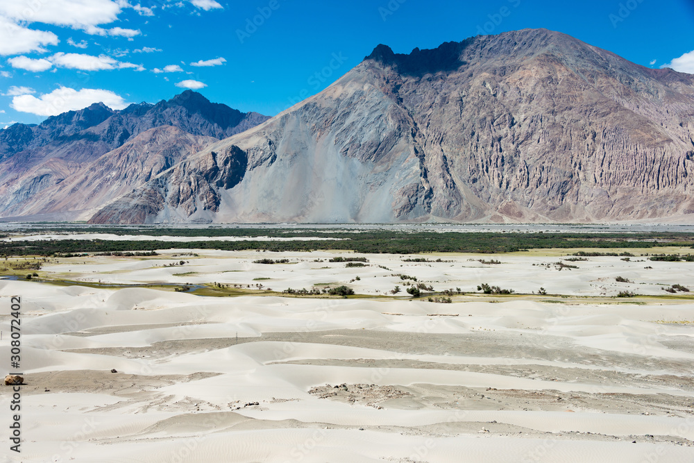 Fototapeta premium Ladakh, India - Jul 23 2019 - Beautiful scenic view from Between Diskit and Turtuk in Ladakh, Jammu and Kashmir, India.