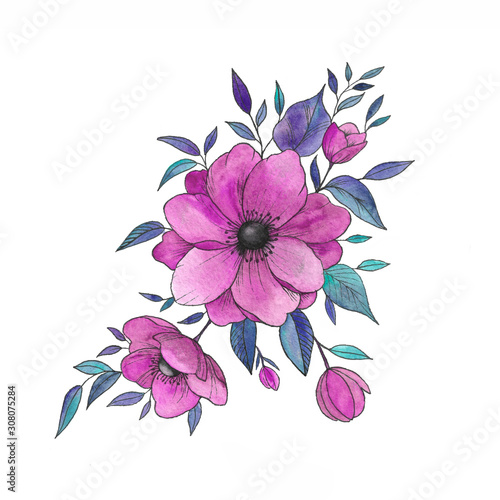 watercolor set of anemones, buds leaves a beautiful flower. Hand drawings flower and small details