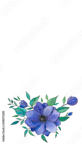 Fototapeta Naklejka Na Ścianę i Meble -  watercolor flowers of anemones, buds leaves. Hand drawn flower and small details for template menu, poster, greeting card  and other design