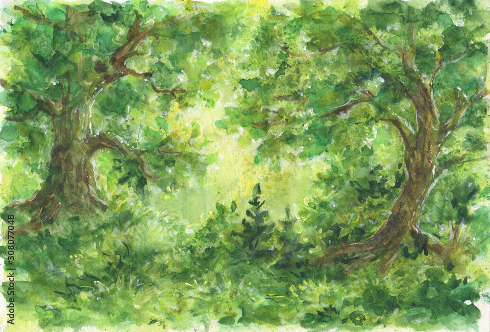 Fototapeta Las akwarela krajobraz - rysunek w kolorach zielonym