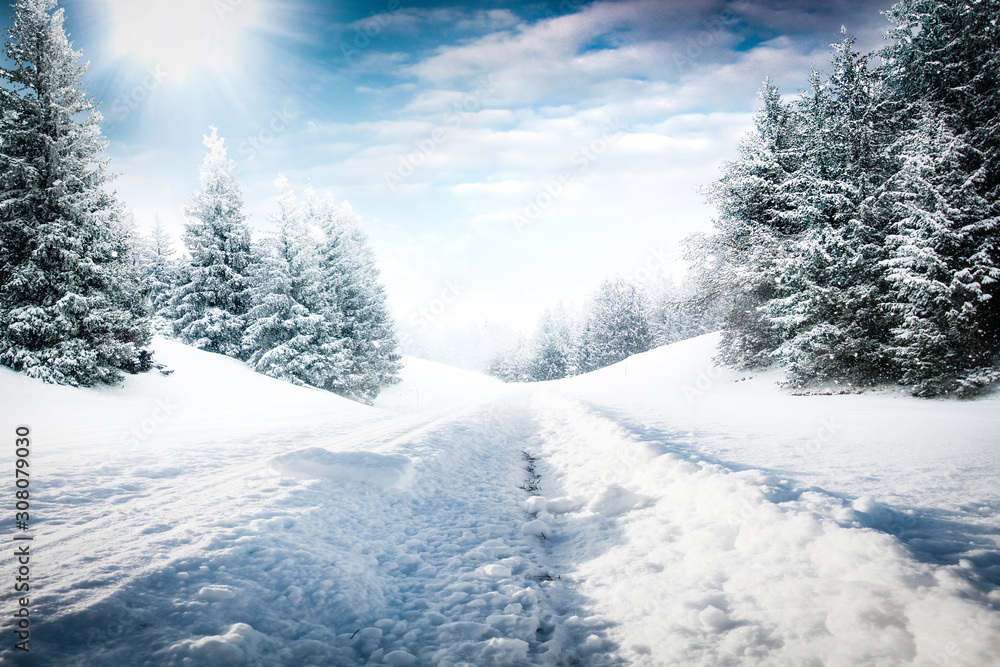 Obraz premium Winter background of road and free space for your decoration.