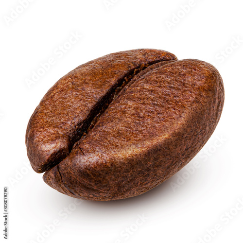 Single coffee bean isolated on white background