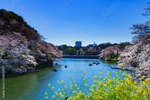 Landscape of spring Tokyo city view in Japan