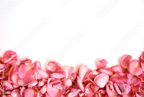 Fototapeta Naklejka Na Ścianę i Meble -  Petals of pink roses on white background