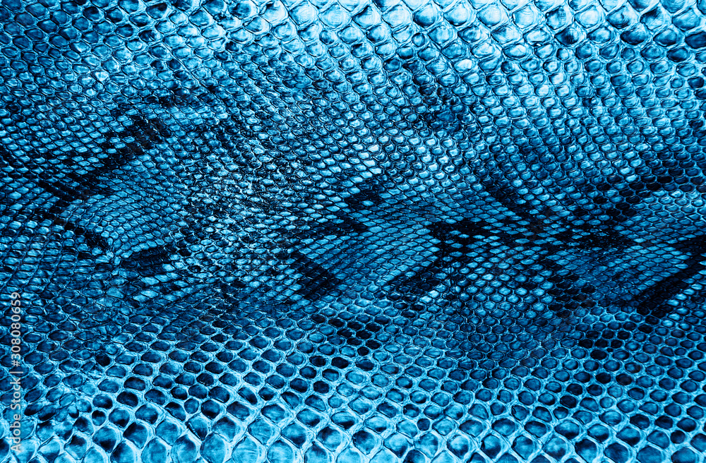 Snake skin background Snake skin background