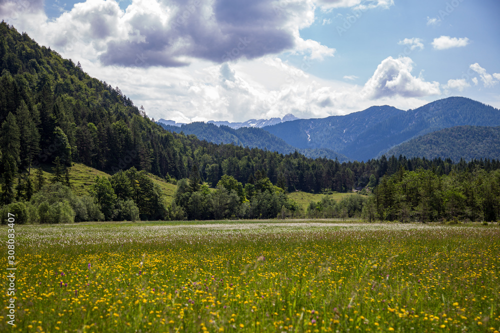 summer in the Kitzbuehel Alps, Tyrol, Austria