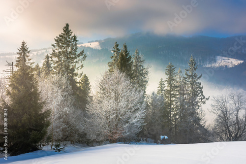 dramatic winter sunrise. trees in hoarfrost on a snow covered slope. clouds and mist floating in the valley. borzhava mountain ridge in the distance. amazing open vistas in gloomy frosty weather